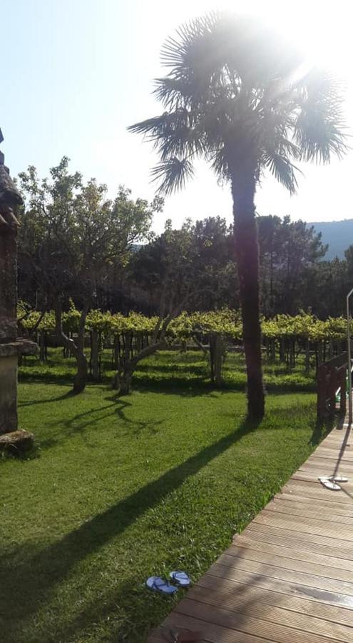 Os Areeiros Turismo Rural & Bodega Santa Cristina De Cobres Eksteriør billede